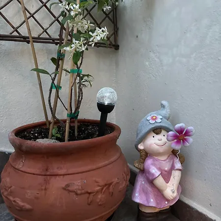Eleni Πανσιόν 2*